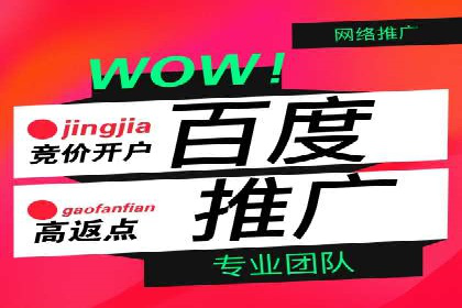 百度推广费用案例：成功案例分析及启示